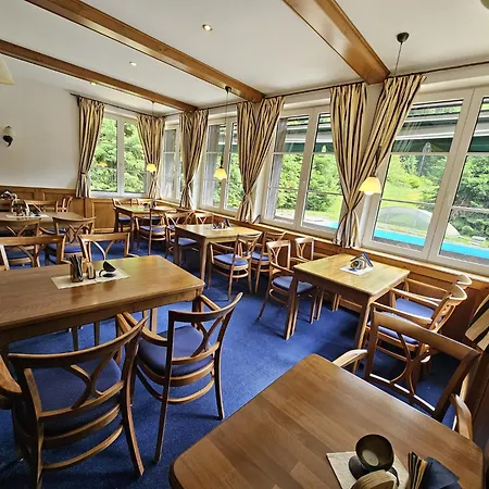 Horsky Konsel Hotel Ricky (Hradec Kralove)