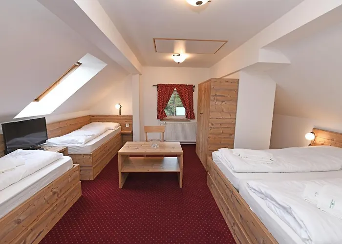 Horsky Konsel 3* Ржички